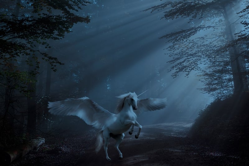 Unicorn Haven